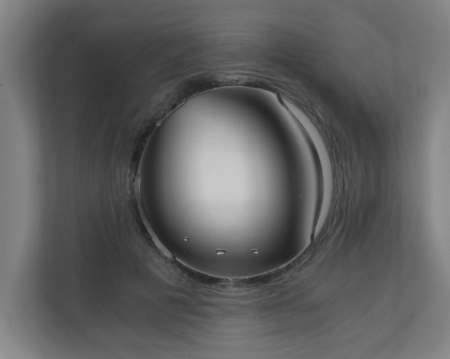 X0000110670601200906191346