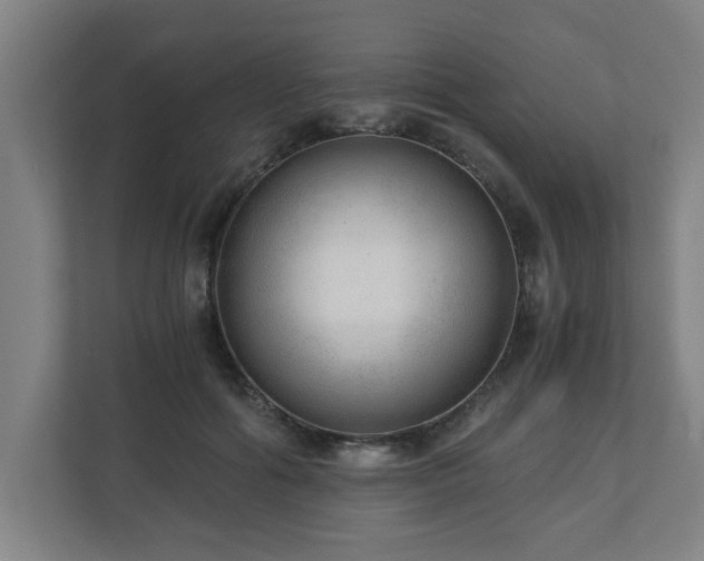 X0000110670602200906191346
