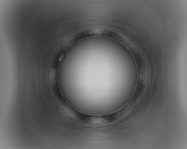 X0000110670605200906191346