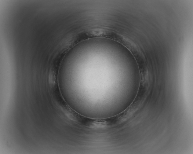 X0000110670606200906191346