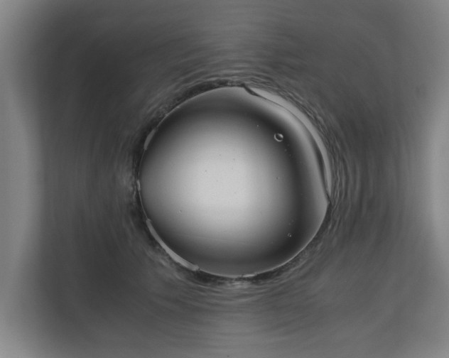 X0000110670609200906191346