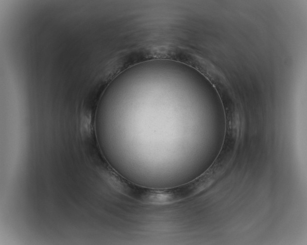 X0000110670610200906191346