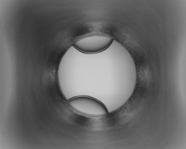 X0000110670611200906191346