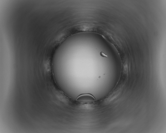 X0000110670620200906191346