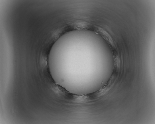 X0000110670621200906191346