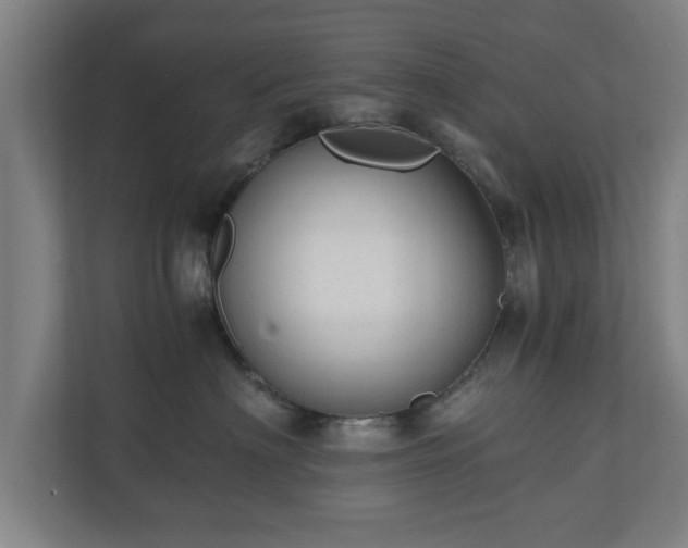 X0000110670622200906191346