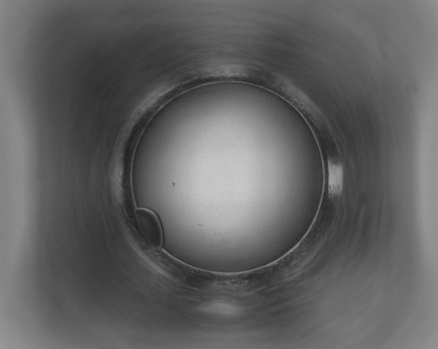 X0000110670627200906191346