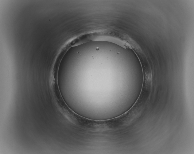 X0000110670628200906191346