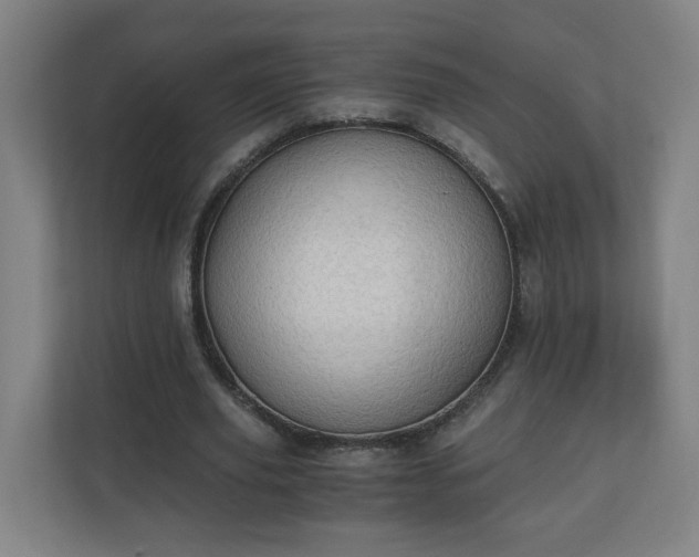 X0000110670629200906191346