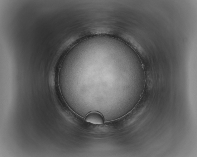 X0000110670631200906191346