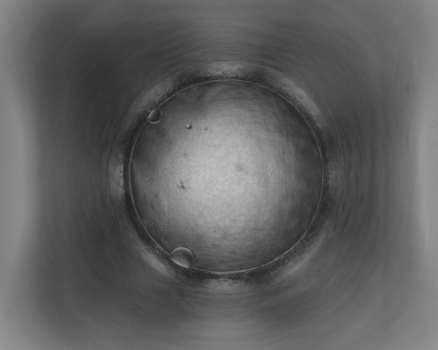 X0000110670633200906191346