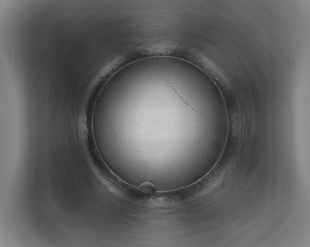 X0000110670634200906191346