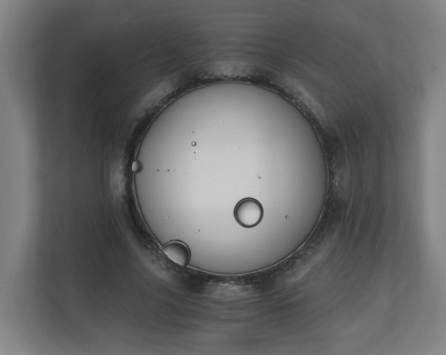 X0000110670635200906191346