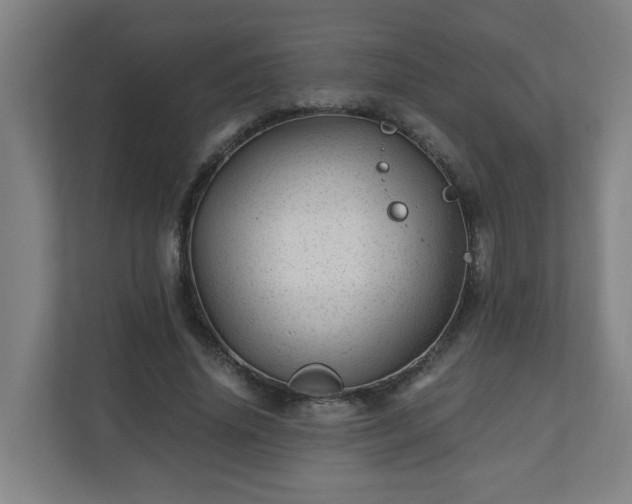 X0000110670636200906191346