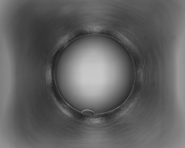 X0000110670638200906191346
