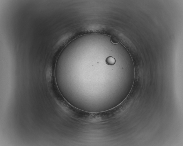 X0000110670640200906191346
