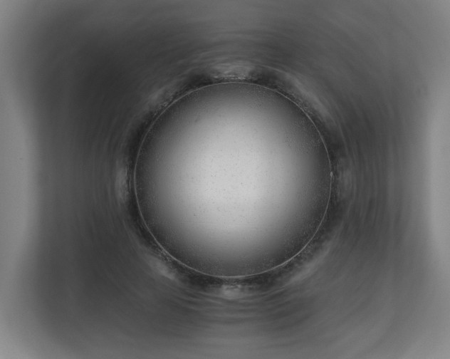 X0000110670641200906191346