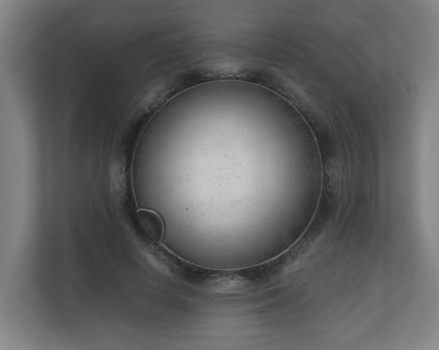 X0000110670642200906191346