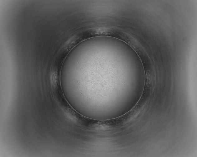 X0000110670648200906191346
