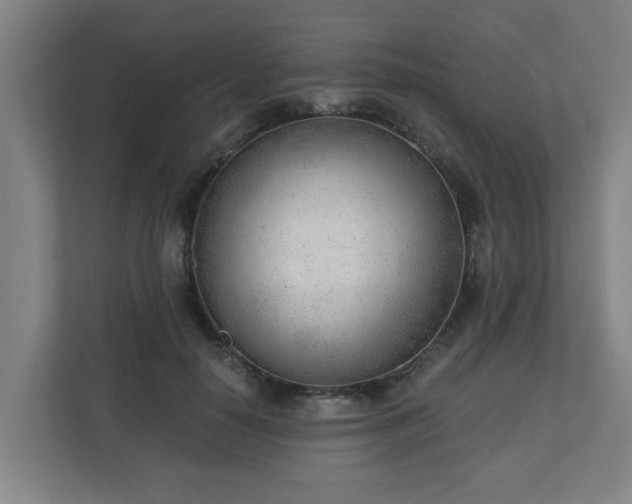 X0000110670650200906191346