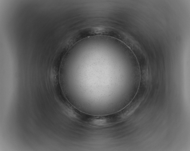 X0000110670653200906191346