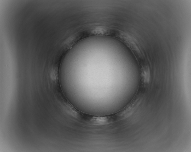 X0000110670665200906191346