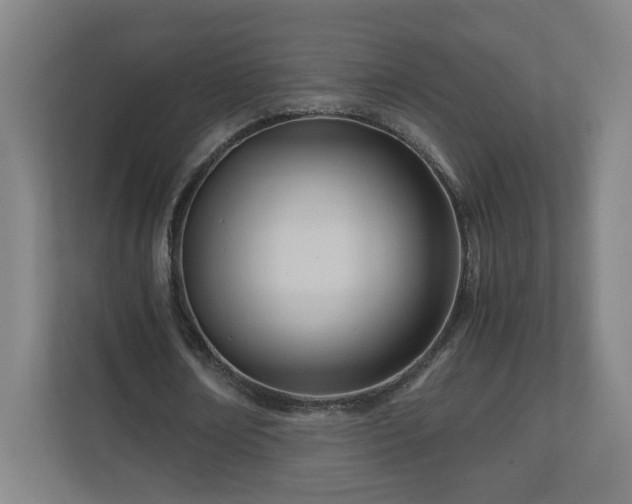 X0000110670674200906191345