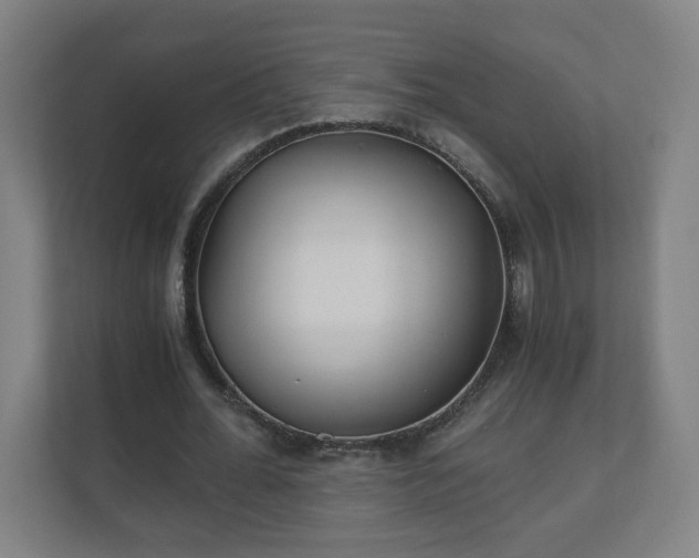 X0000110670676200906191345