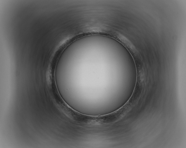 X0000110670680200906191345