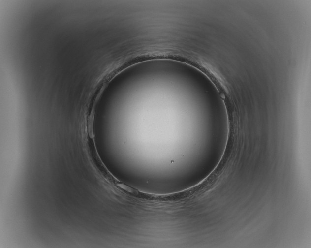 X0000110670681200906191345