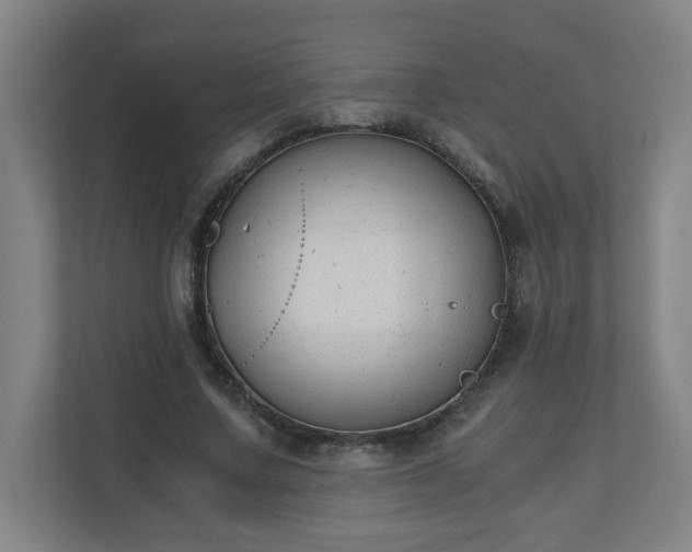 X0000110670683200906191345