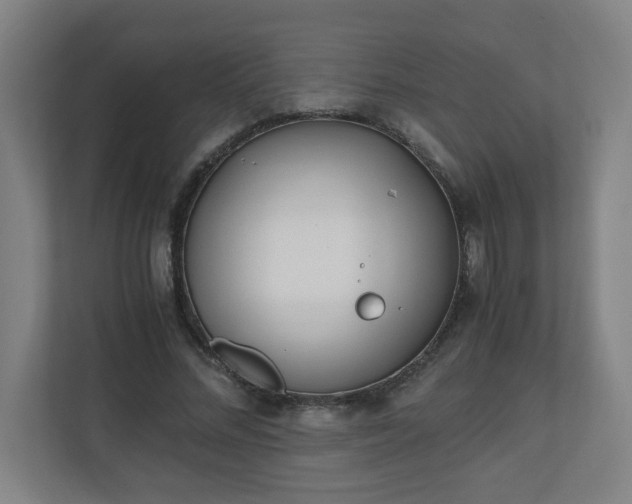 X0000110670684200906191345