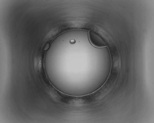 X0000110670685200906191345