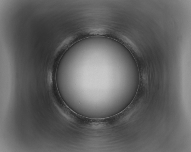 X0000110670686200906191345