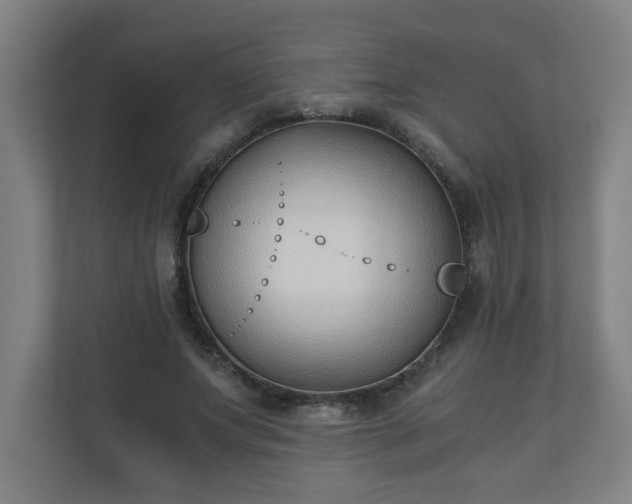X0000110670687200906191345