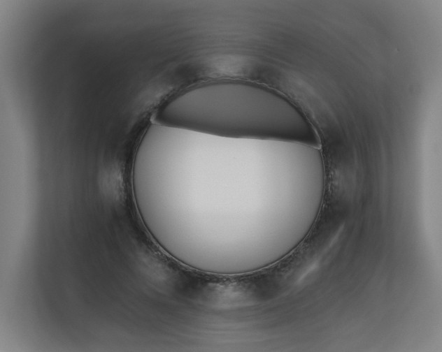 X0000110670688200906191345