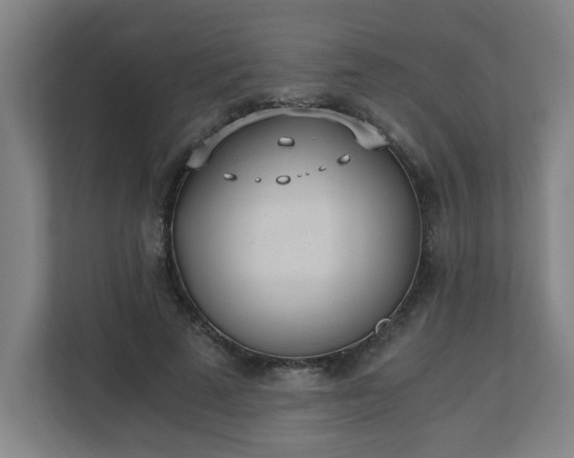 X0000110670689200906191345