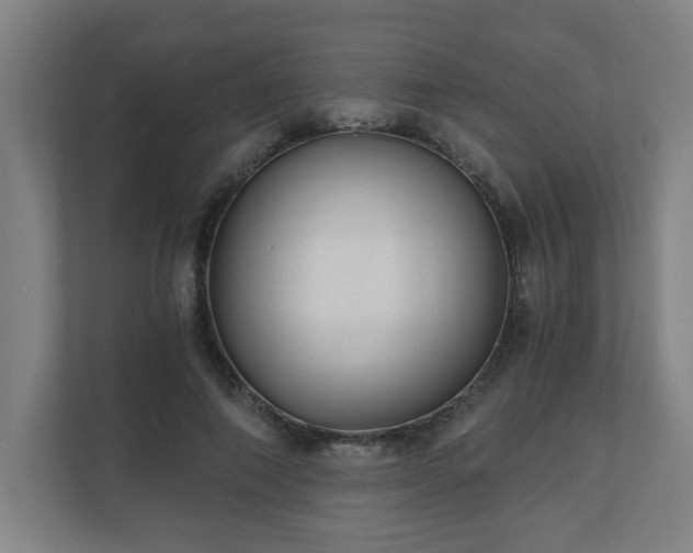 X0000110670690200906191345