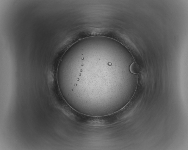 X0000110670691200906191345