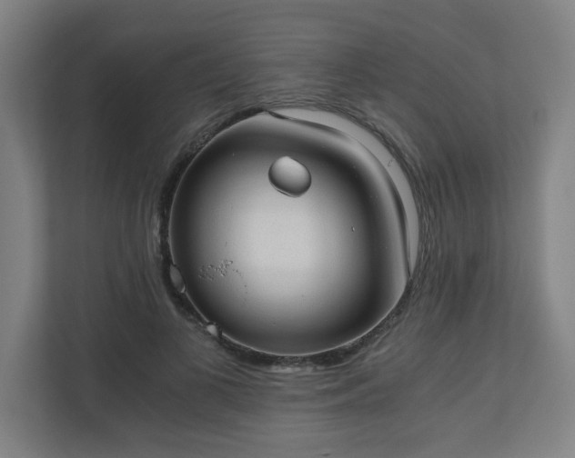 X0000110670693200906191345