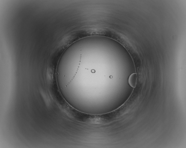 X0000110670695200906191345