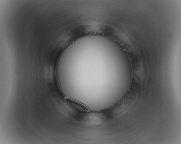 X0000110670708200906191345