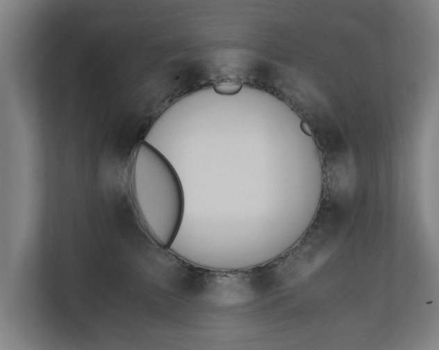 X0000110670709200906191345