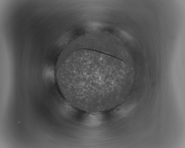 X0000110670720200906191345