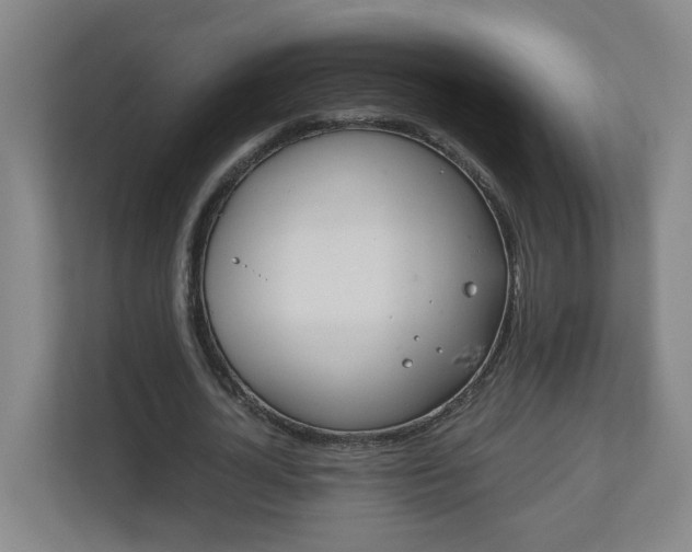 X0000110670724200906191344