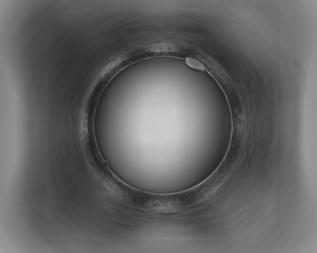 X0000110670727200906191344