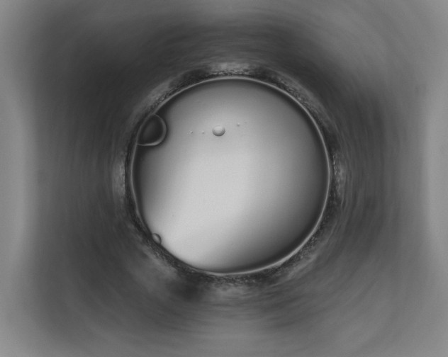 X0000110670729200906191344