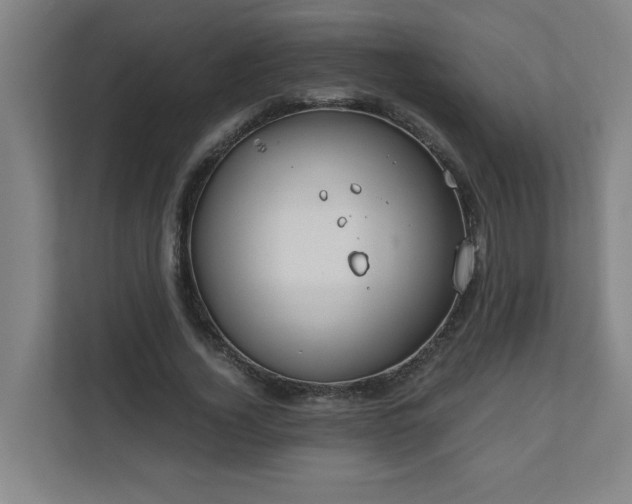X0000110670732200906191344