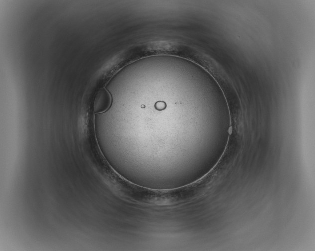 X0000110670735200906191344
