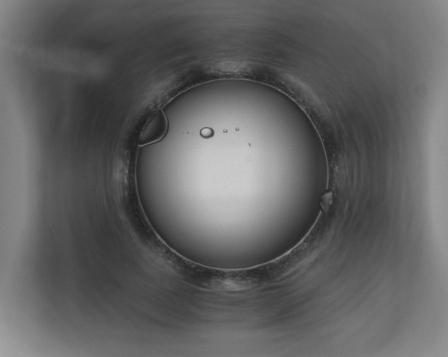 X0000110670739200906191344